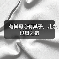 有其母必有其子，儿之过母之错
