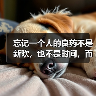 忘记一个人的良药不是新欢,也不是时间,而是这种方法(图3) 忘记一个人的良药不是新欢,也不是时间,而是这种方法(图3)