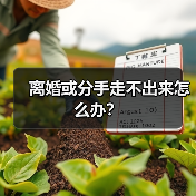 离婚或分手走不出来怎么办?(图1) 离婚或分手走不出来怎么办?(图1)