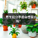 男生提分手后会想复合吗？（图1）