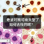 老婆对我彻底失望了，如何去挽回呢？（图2）